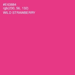 #E63884 - Wild Strawberry Color Image